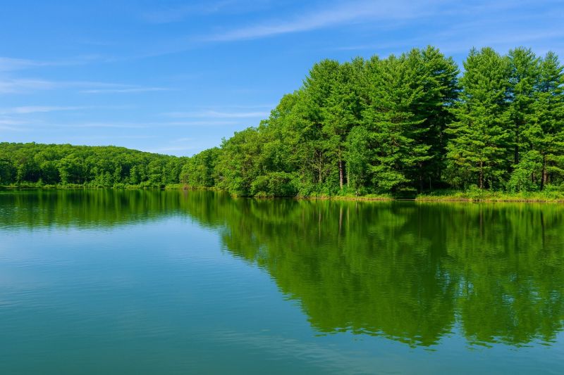 Best Foundation Lifting pros in Waupaca, WI